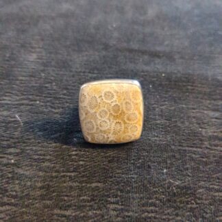 silver fossil coral ring