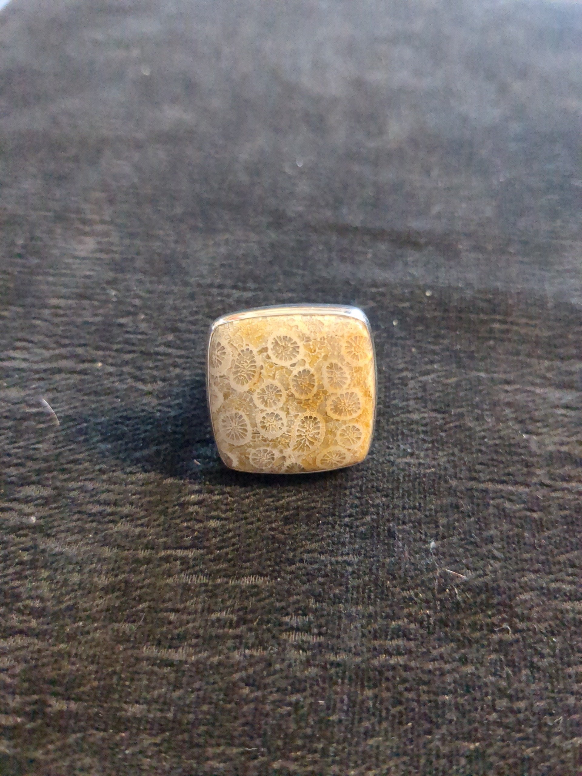 silver fossil coral ring